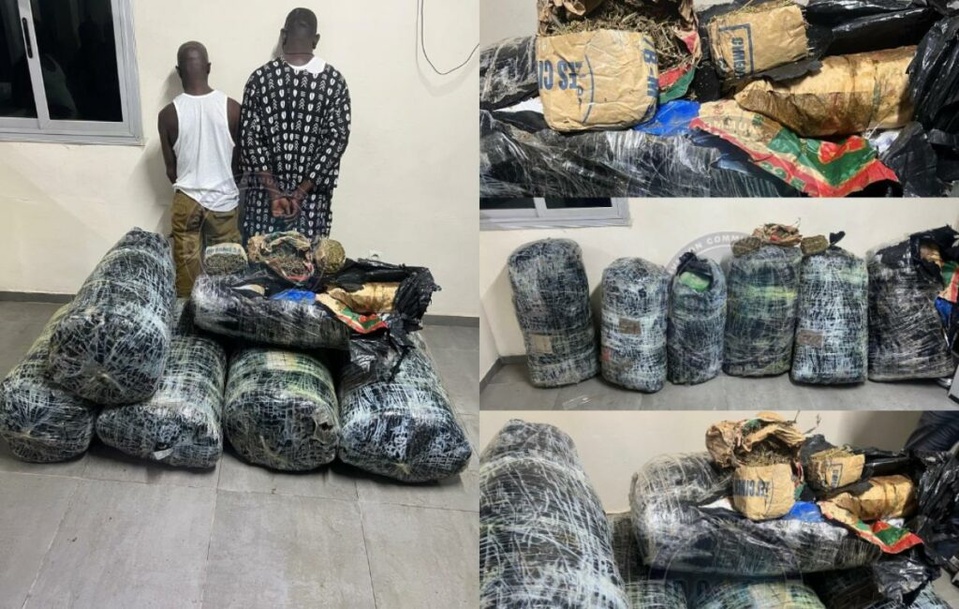 La BR de la Gendarmerie de Keur Massar et la Police du côté de Kédougou, ont frappé encore très fort : Plus de 300 kg de chanvre indien saisis à Thiaroye La BR de la Gendarmerie de Keur Massar et la Police du côté de Kédougou, ont frappé encore très fort : Plus de 300 kg de chanvre indien saisis à Thiaroye
