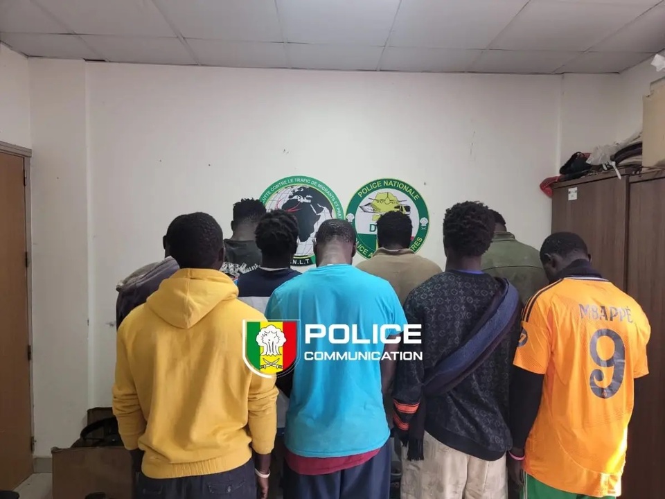 La BR de la Gendarmerie de Keur Massar et la Police du côté de Kédougou, ont frappé encore très fort : Plus de 300 kg de chanvre indien saisis à Thiaroye La BR de la Gendarmerie de Keur Massar et la Police du côté de Kédougou, ont frappé encore très fort : Plus de 300 kg de chanvre indien saisis à Thiaroye
