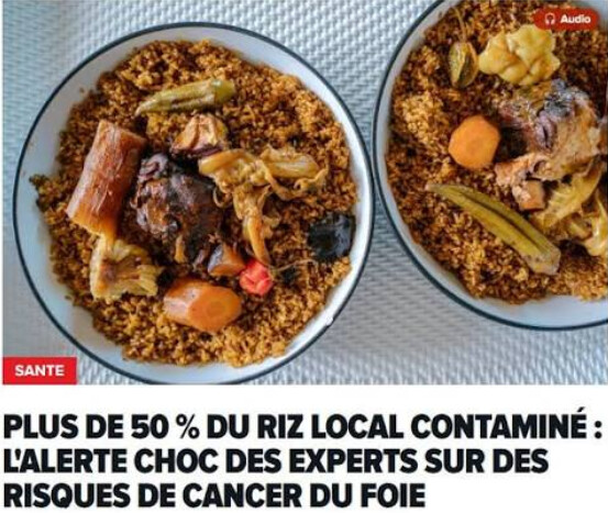 PRESENCE D’AFLATOXINES DANS LE RIZ AU SENEGAL : Le Mincom dément, parle d’une interprétation inexacte des résultats et apporte des précisions