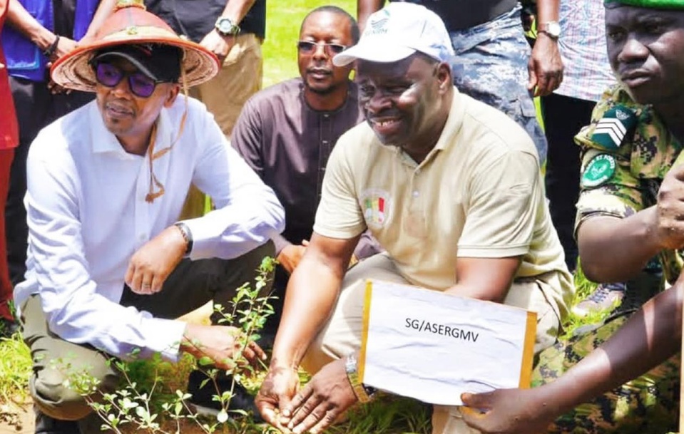 JOURNEE NATIONALE DE L’ARBRE A Tambacounda, Alpha Thiam lance l’alerte sur le « massacre » des forêts JOURNEE NATIONALE DE L’ARBRE A Tambacounda, Alpha Thiam lance l’alerte sur le « massacre » des forêts
