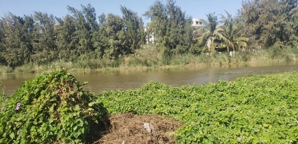 LITIGE SUR UN TERRAIN SIS AUX MARISTES : Khadim Bâ, Amadou Ba, le notaire Papa Sambaré Diop, l’avocat Papa Mouhamadou Lô visés par une plainte à la SU LITIGE SUR UN TERRAIN SIS AUX MARISTES : Khadim Bâ, Amadou Ba, le notaire Papa Sambaré Diop, l’avocat Papa Mouhamadou Lô visés par une plainte à la SU
