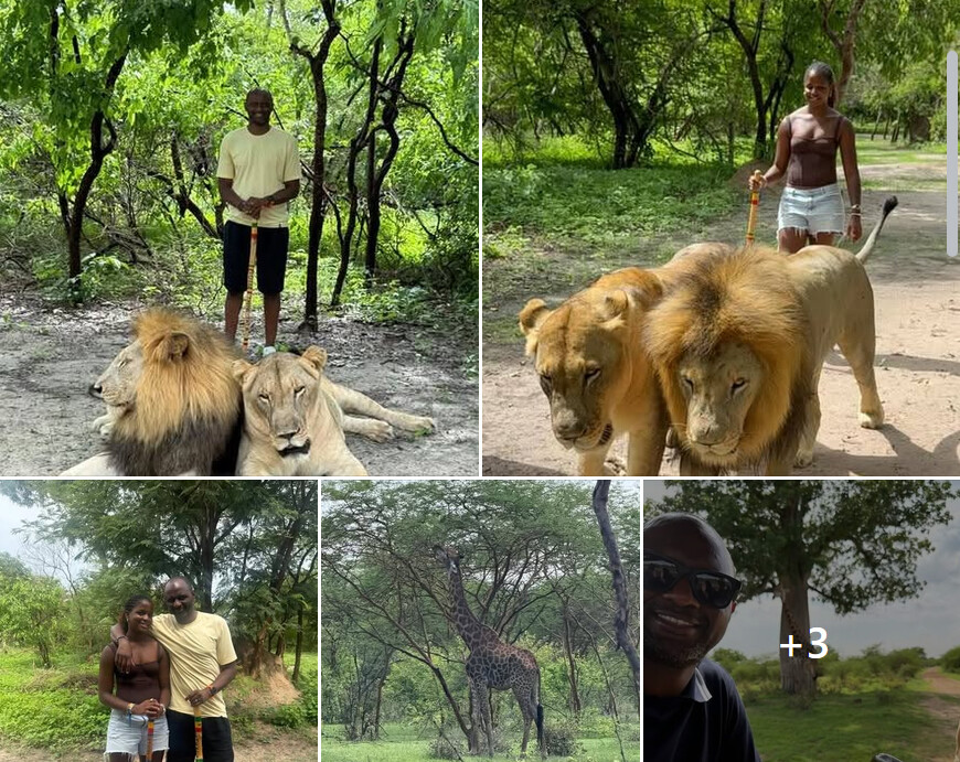 Équipe nationale : Patrick Vieira séjourne au Sénégal et se rapproche des Lions