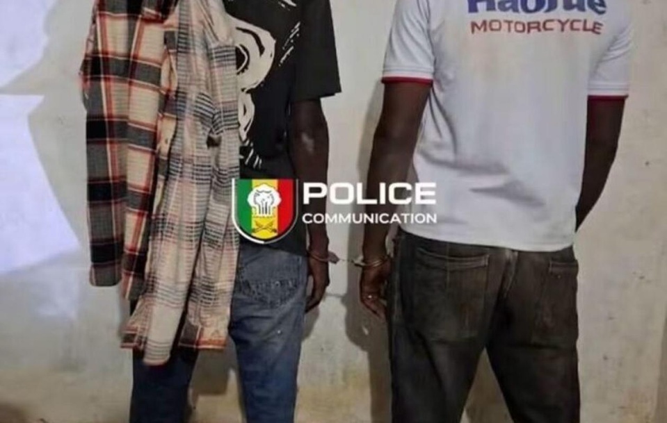 Kédougou : deux individus arrêtés en possession de 3900 comprimés de Tramadol