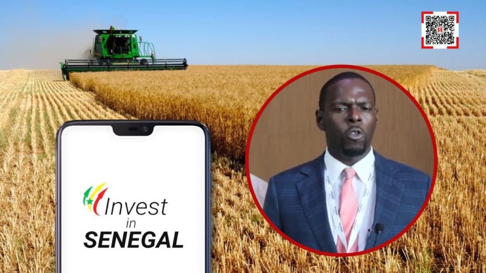 MOUHAMED SALL LORS DE L'ATELIER FLOUR RISING AFRICA « Le blé cultivé au Sénégal est aussi compétitif que le blé importé »