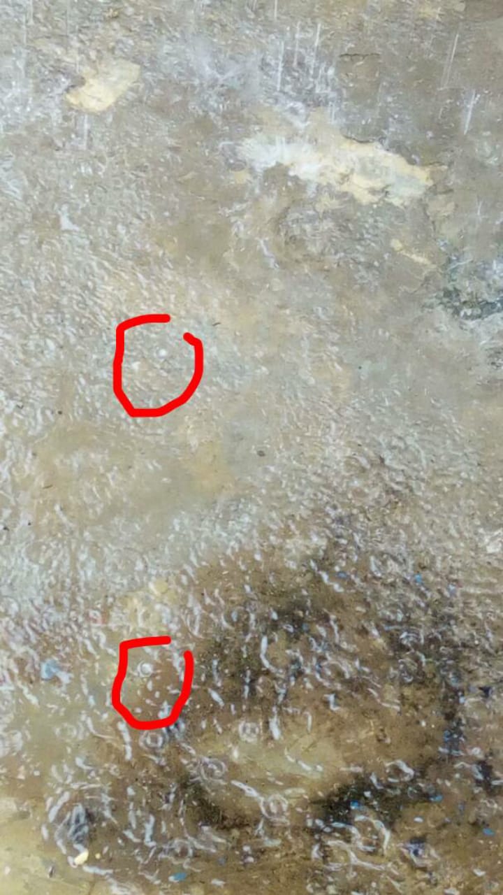 (Vidéo & Photo): Une forte pluie de glace à Thiès, Regardez!