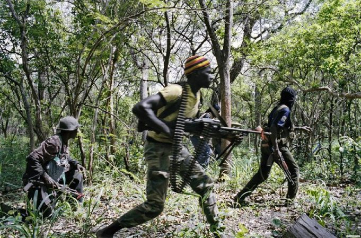 CARNAGE DE BOFA BAYOTTE: Les présumés assassins seraient passés en Gambie