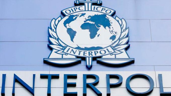 CRIMINALITE TRANSNATIONALE ORGANISEE: Bientôt l'implémentation du programme Wapis d’Interpol au Sénégal