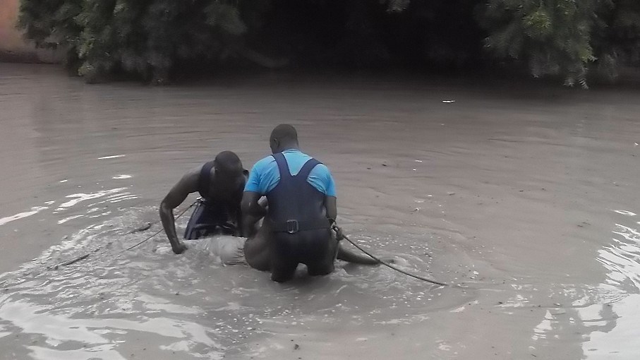 HORREUR A YEUMBEUL SUD: Le corps repêché dans le bassin était celui d’Oumar Ngalla Mbengue, dit Papa Ngalla