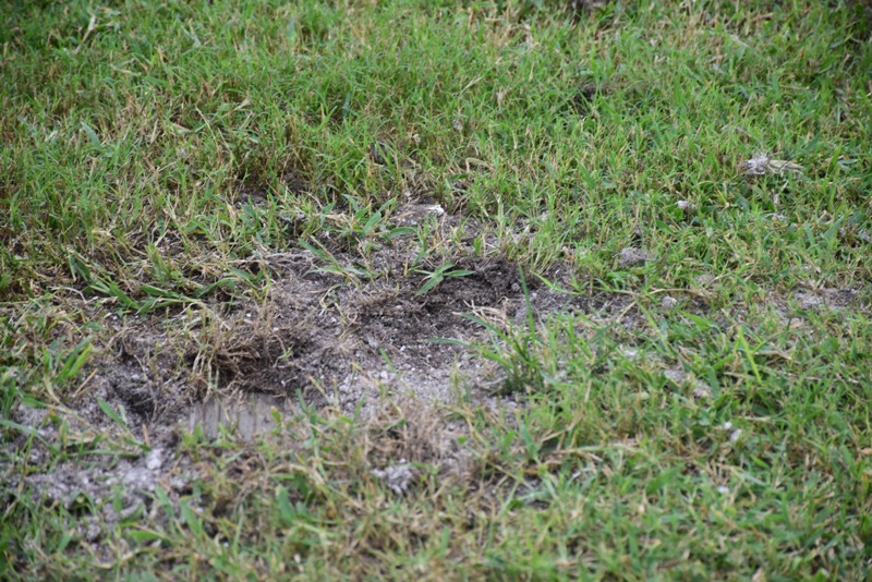 A 2 SEMAINES DU MATCH SENEGAL-SOUDAN: le stade Léoplod Senghor dans un piteux état