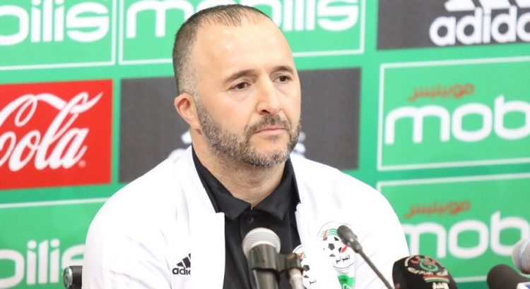 DJAMEL BELMADI COACH DES FENNECS: «Le  Sénégal est un favori en puissance pour gagner la Can»