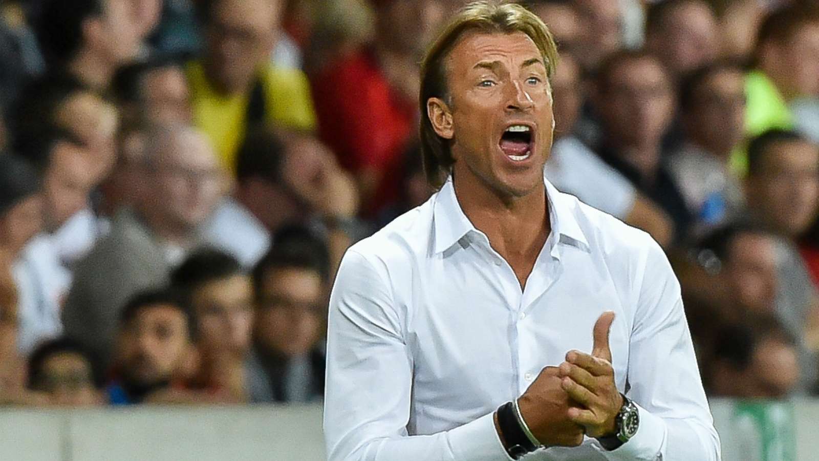 Hervé Renard quittera le Maroc après la CAN