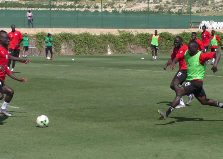 STAGE DE PREPARATION EN ESPAGNE: Des Lions en jambes jouent en amical cet après-midi face à une équipe locale d’Alicante