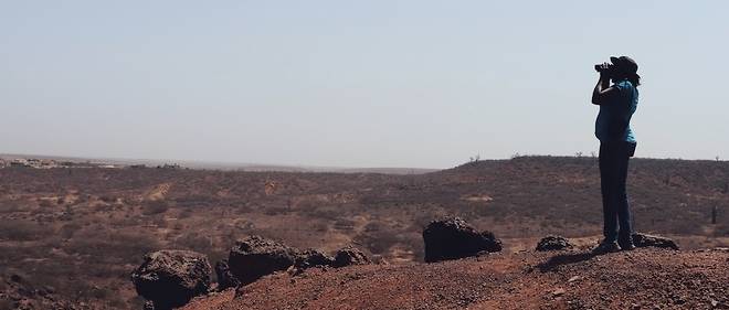 Sénégal - Popenguine : là où des Amazones défendent l'écologie