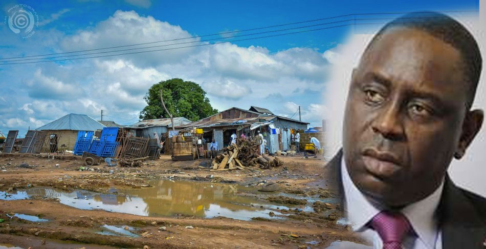 Cheikh Bamba Dièye : « on parlera de coup d’Etat et pas de troisième mandat pour Macky Sall », s'il tente le coup