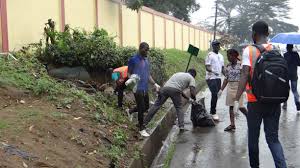 Éco-citoyens:Comment organiser une opération de ramassage des déchets sur la voie publique chaque dimanche?