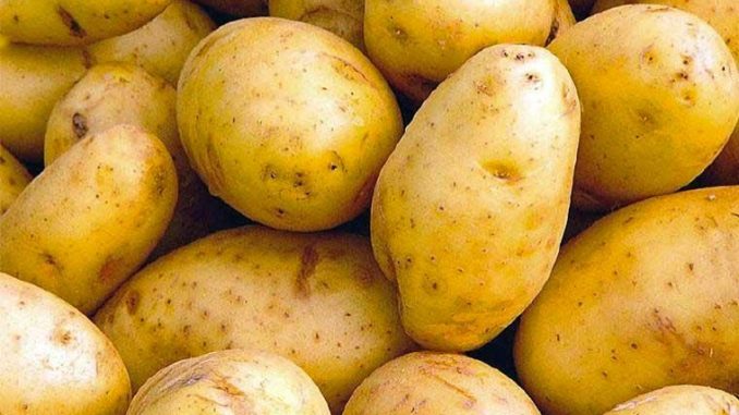 lLes agriculteurs et les commerçants de Mboro en colère !