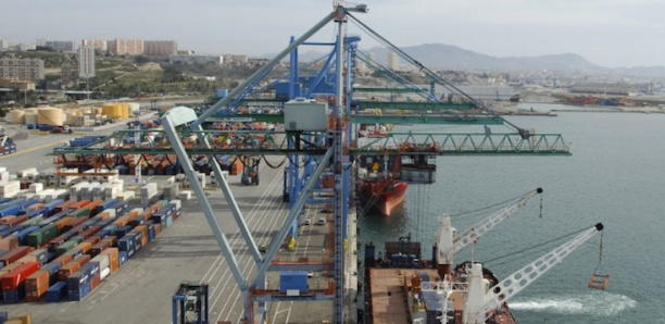 Dubaï Port World : les transitaires dénoncent le nouveau système de l’exploitant portuaire