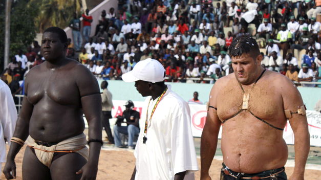 COMBATS FICELES ET AVANCES DONNEES POUR LA PROCHAINE SAISON DE LUTTE Les promoteurs se projettent-ils à risque ?