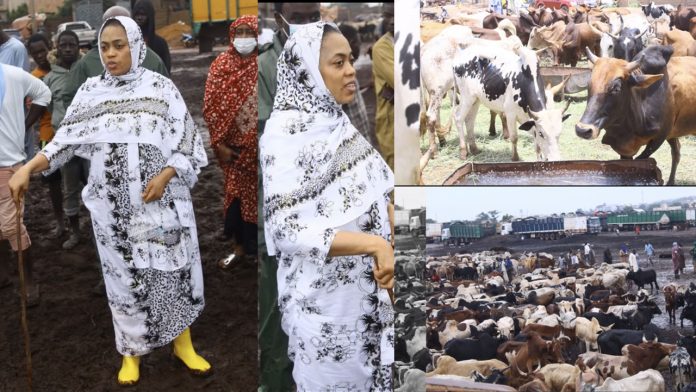 Magal 2020 : Sokhna Aida Diallo au Mali pour acheter des bœufs