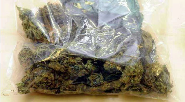 LE SEPTUAGENAIRE ÉCOPE D'UN MOIS FERME POUR DÉTENTION DE 150 G DE CHANVRE INDIEN : Djadji Camara voulait offrir le yamba à ses condisciples «Baye Fall» en guise de cadeau pour le Magal