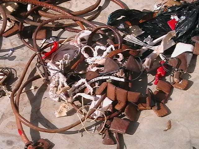 Arrestation du présumé meurtrier de l'américain à Médina Baye: l'impressionnant arsenal mystique de Amadel K