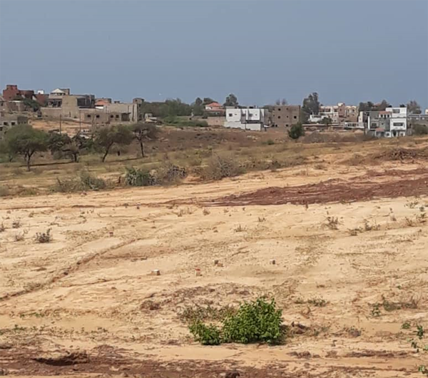 EXPROPRIATION DE LEURS TERRES AU PROFIT DE L’ENTREPRISE MAROCAINE PEACOCK: Y en a marre et Frapp France Dégage portent le combat, les populations de Dougar prêtes à y laisser leurs vies