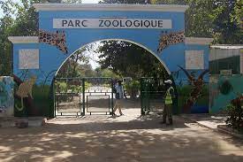 SALAIRES BAS, DIFFICILES CONDITIONS DE TRAVAIL, DISCRIMINATION ET SUREXPLOITATION  Des employés du Parc zoologique et forestier de Hann fustigent la gestion du capitaineSèye