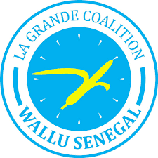 DÉNONCÉ PAR LA MAIRIE POUR AVOIR REÇU DES SECOURS PLUS DE DEUX FOIS: La tête de liste Wallu Sénégal de Yeumbeul Sud remplacé