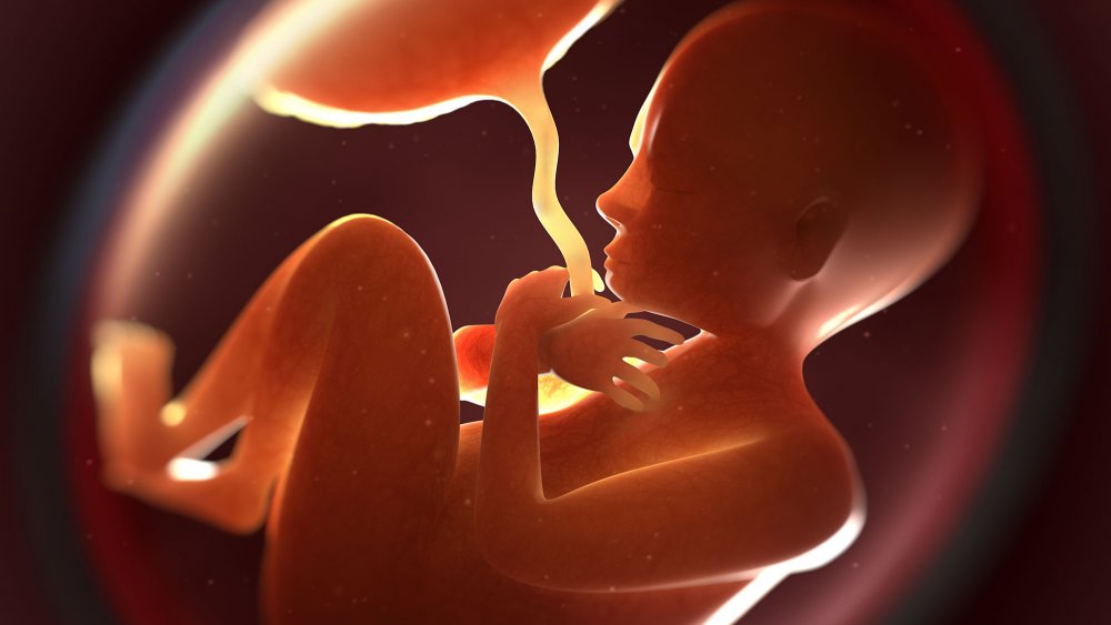 Un fœtus de 7 mois repêché dans une fosse septique à Dalifort