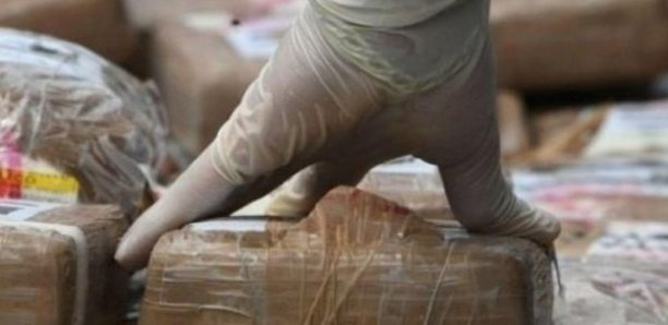 TRAFIC DE DROGUE : Abdou Aziz Thiam arrêté avec un sac d'oranges où une quantité importante de drogue était cachée