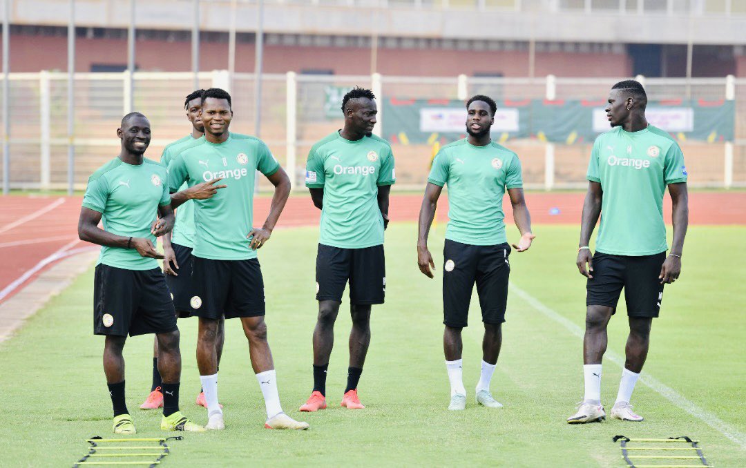 FENÊTRE FIFA DU 30 MAI–14 JUIN 2022 :Pas de match amical international pour les Lions