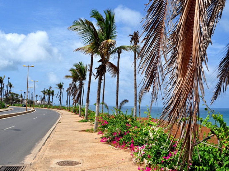 VISITE SUR LE CHANTIER D’AMENAGEMENT DE LA CORNICHE OUEST DE DAKAR :Macky Sall,aux anges, invite les Sénégalais à planter des arbres devant leurs domiciles