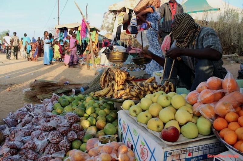 Sadio Camara tué à Kolda en mars 2021 : le dossier n’avance pas