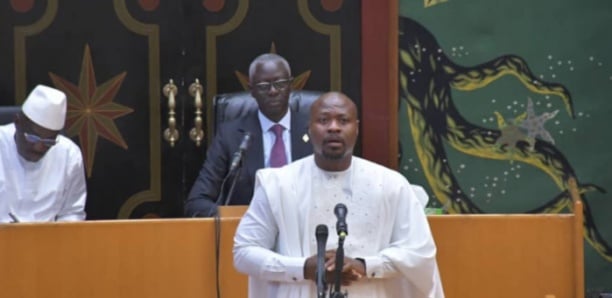 EXAMEN DU BUDGET DU MINISTERE DE LA SANTE :Guy Marius Sagna et Thierno Alassane Sall critiquent le rapport et se font attaquer par leurs collègues