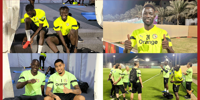 COULISSES DU DERNIER GALOP DES LIONS AVANT LE QATAR :  La tanière respire la forme et la confiance