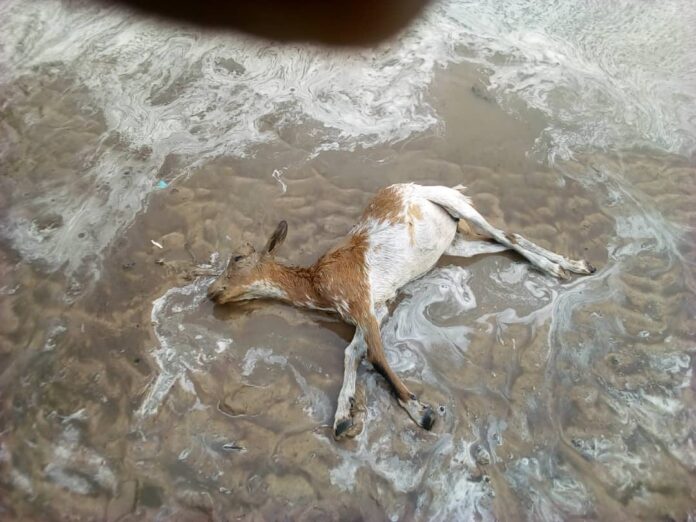 Des pluies hors-saison aujourd’hui