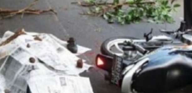 ACCIDENT SUR LA VDN AYANT CAUSE LA MORT D’UN AGENT DE L'USAID  :Le chauffeur de camion Moussa Ndao condamné à 1 mois de prison ferme et à payer une amende de 55.000 F Cfa