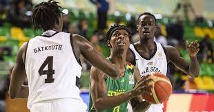ELIMINATOIRES DE LA COUPE DU MONDE DE BASKET: Les Lions éliminés après deux défaites et une victoire