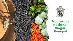 Le Programme national de biogaz domestique du Sénégal expulsé
