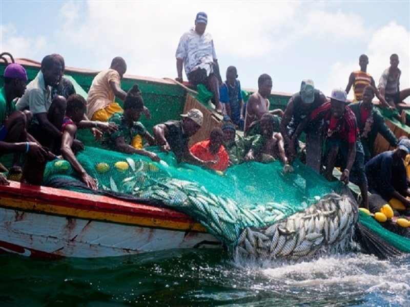 Les pêcheurs artisanaux du Sénégal en rogne