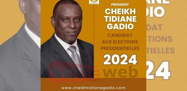 Présidentielle de 2024 : Cheikh Tidiane Gadio déclare sa candidature