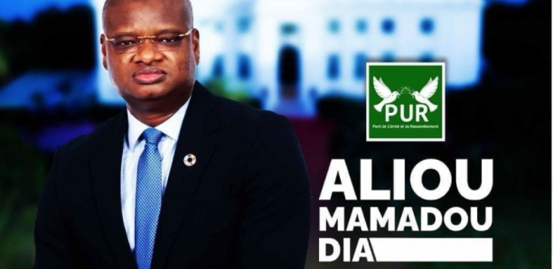 POTENTIEL CANDIDAT DU PUR POUR LA PRÉSIDENTIELLE DE 2024 : Qui est Aliou Mamadou Dia, le fonctionnaire des Nations-Unies choisi par Serigne Moustapha Sy pour guider les troupes vert-blanc