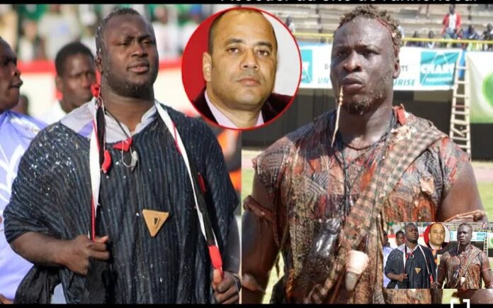 CONTENTIEUX AUTOUR DU COMBAT MODOU LO/AMA BALDÉ : Le promoteur de lutte Luc Nicolaï et autres seront à nouveau devant le juge d'appel de Dakar le 16 janvier 2024