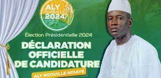 Les jeunes de Aly Ngouille Ndiaye décident de payer sa caution