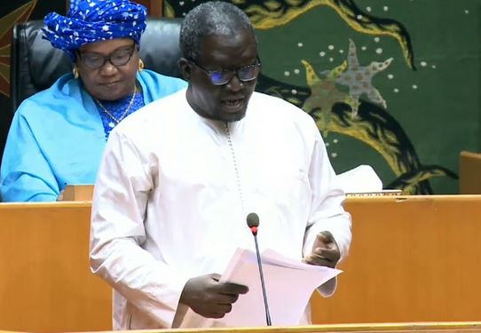 Ayib Daffé caricature les députés de Benno