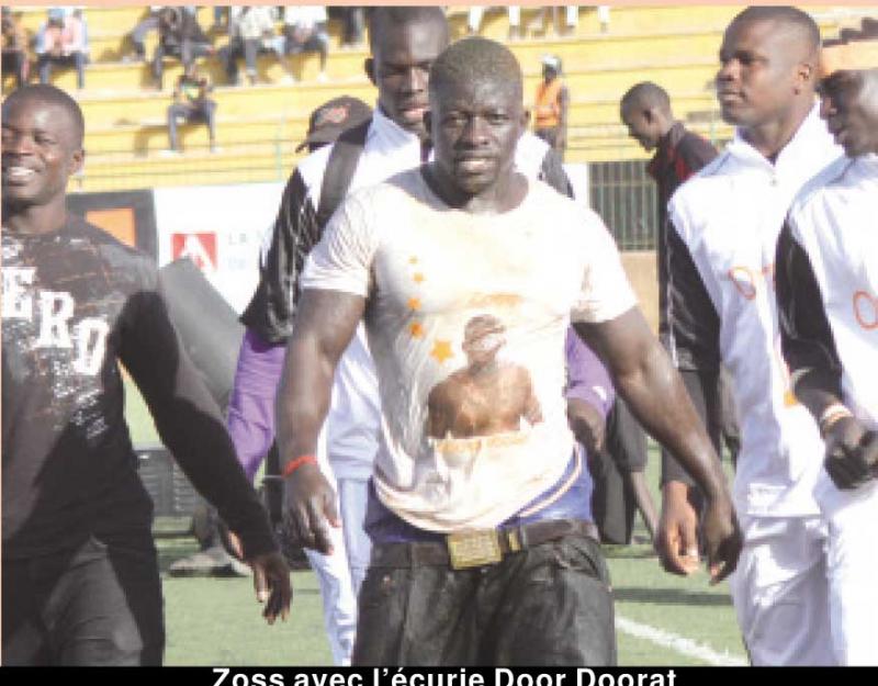 ZOOM SUR DOOKY DE L'ECURIE DOOR DORAT : "Je rêve d'un combat royal un jour"