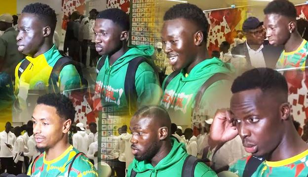 ZONE MIXTE DES LIONS : ILS ONT DIT