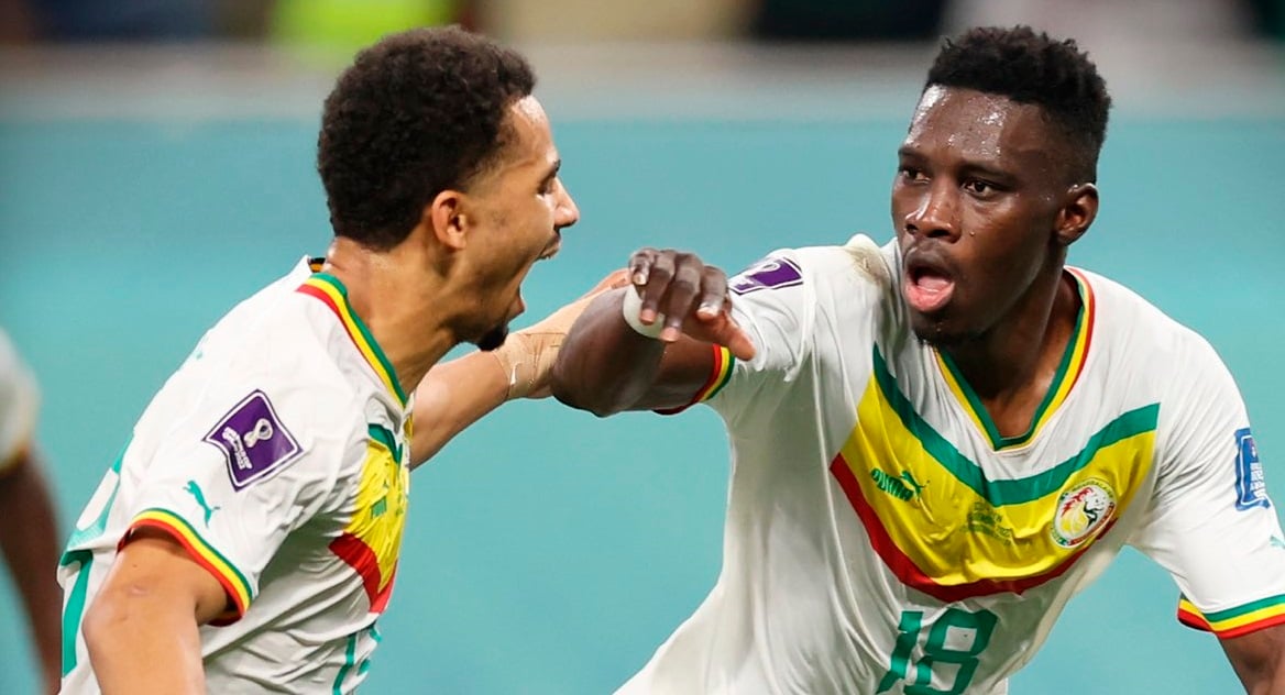 AU BALCON DU STADE : Un autre tournoi démarre pour les Lions