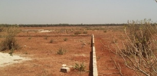 Rufisque : l’incroyable histoire d’un braquage foncier