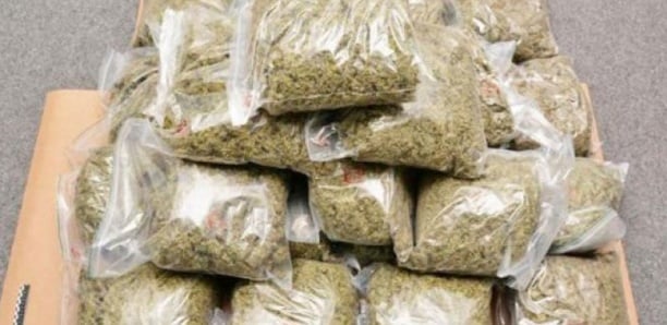 Un gangster-baron de la drogue pris avec 23,5 kg de yamba à Golf Sud